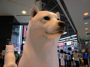 白戸家のお父さん