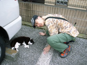 中野の駐車場の猫