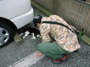 中野の駐車場の猫