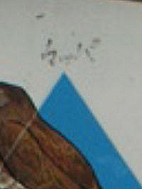 生物ピラミッド02