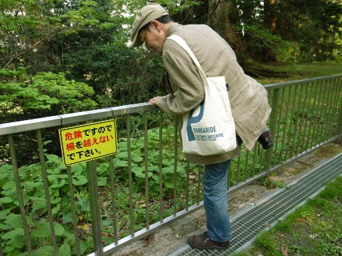 柵を越えてはいけません