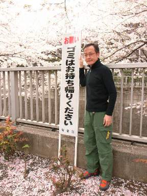 エイプリルフールの桜