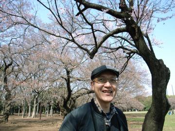 代々木公園の桜開花2008-01