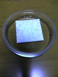 世界一小さな芝の庭060122