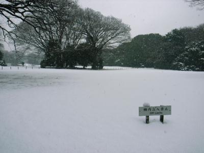 2008年2月3日（日）　南海上の低気圧の影響で、関東甲信、東北の太平洋側、北陸などで雪が降り、首都圏の平野部では積雪があった。
