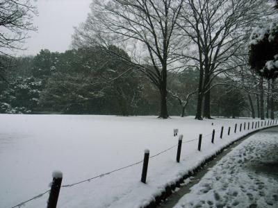 2008年2月3日（日）　南海上の低気圧の影響で、関東甲信、東北の太平洋側、北陸などで雪が降り、首都圏の平野部では積雪があった。