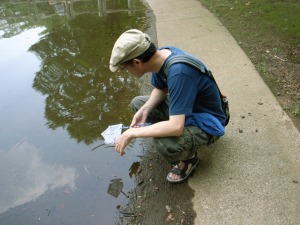 代々木公園でメダカ獲り