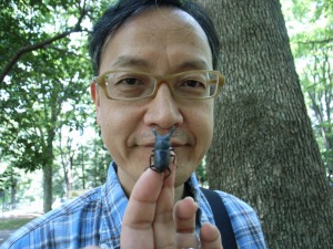 代々木公園のクワガタ